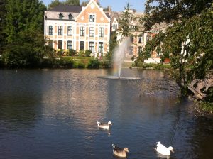 plus belle ville lille