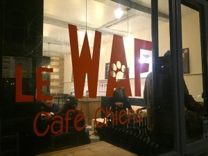 le waf bar à chiens