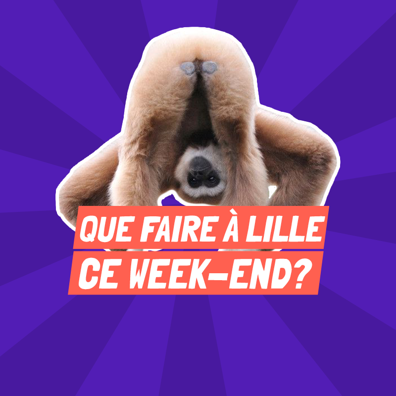 Que faire à Lille ce weekend